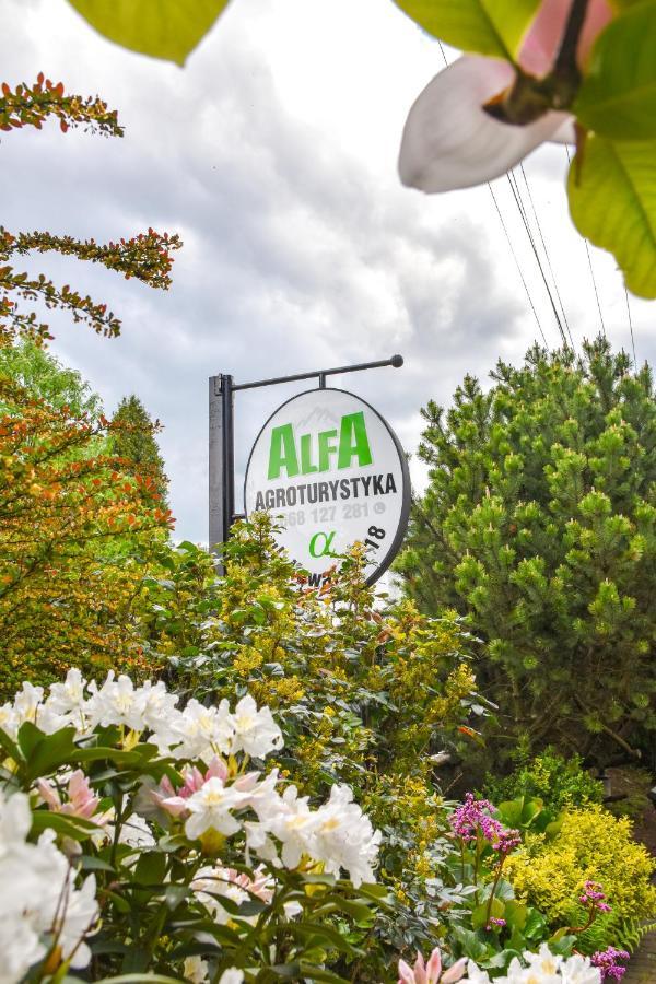 Agroturystyka Alfa Bystra  المظهر الخارجي الصورة