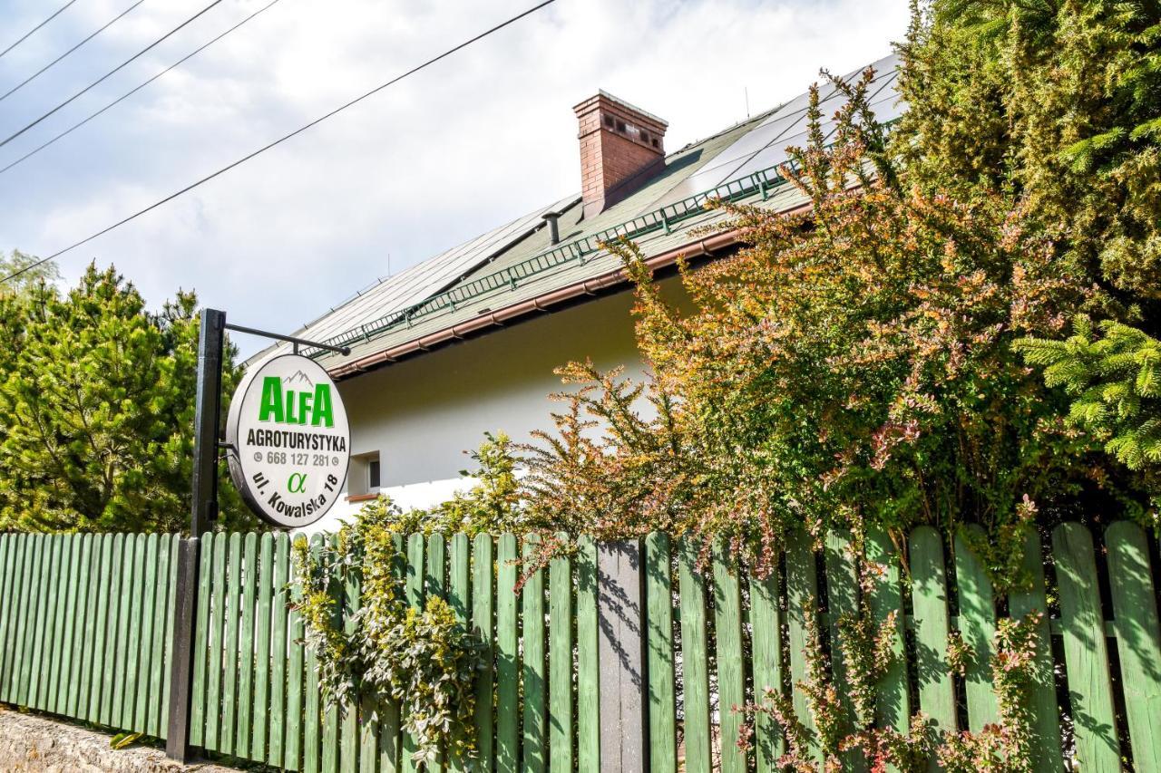 Agroturystyka Alfa Bystra  المظهر الخارجي الصورة